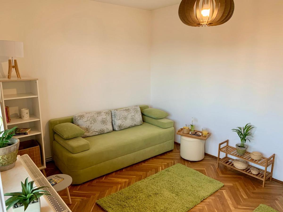 Viktory Apartamento Braşov Exterior foto
