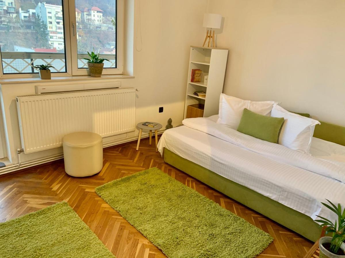 Viktory Apartamento Braşov Exterior foto